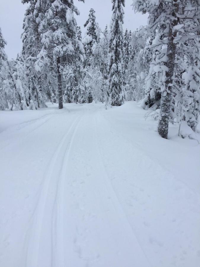 Stf Tre Bjoernar B&B Älvdalen 외부 사진